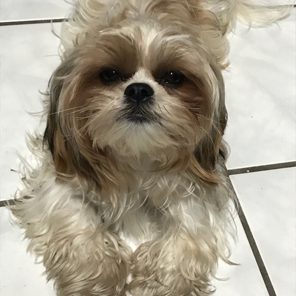 Meet the Posher Other - Meet your Posher, Brian